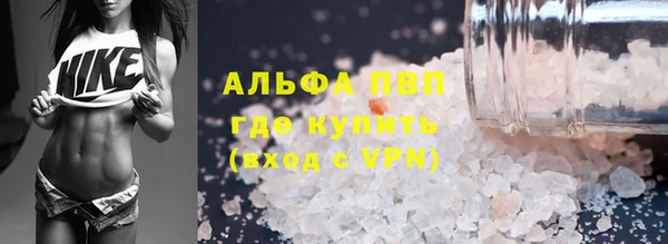 гашик Вязники