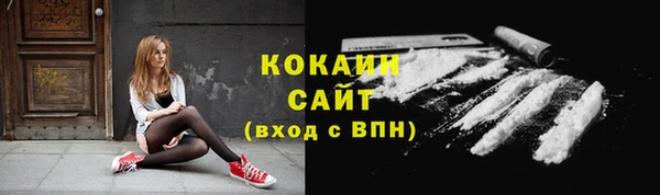 гашик Вязники